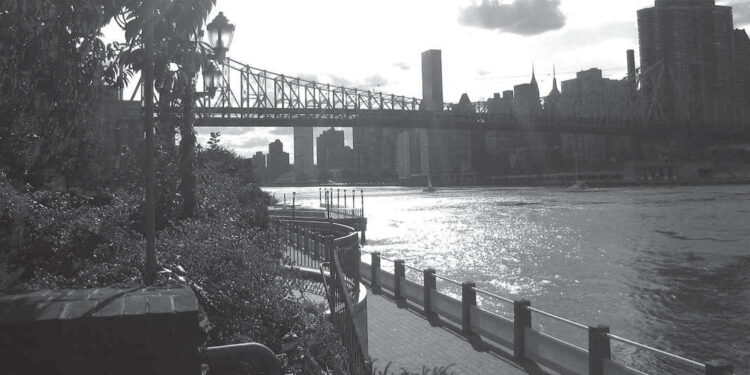 Technion goes international