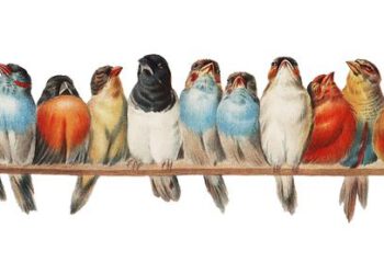 Sie sind gekommen, um zu bleiben