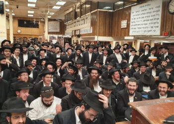 Männer, die auf Bäume starren