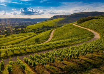 Lieber Uhudler und Kernöl